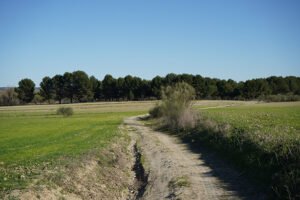 Las Lagunas de Horna logran el galardón nacional de Sendero Azul