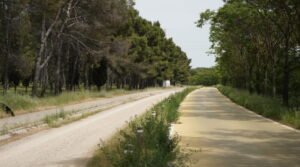 Ayuso retrasa al verano la decisión de recuperar el doble sentido de circulación en Perales de Río