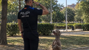 Getafe da la bienvenida a Lucas, el cuarto perro de su Unidad Canina
